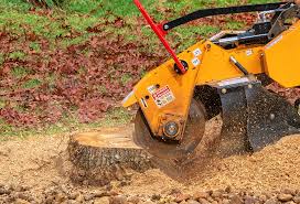 Best Leaf Removal  in Mechanicsville, MD